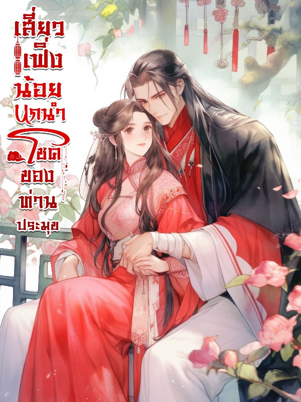 Novel Cover