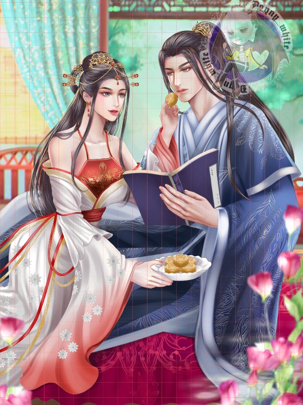 Novel Cover