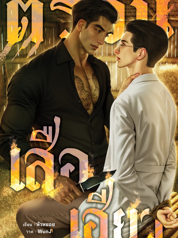 Novel Cover