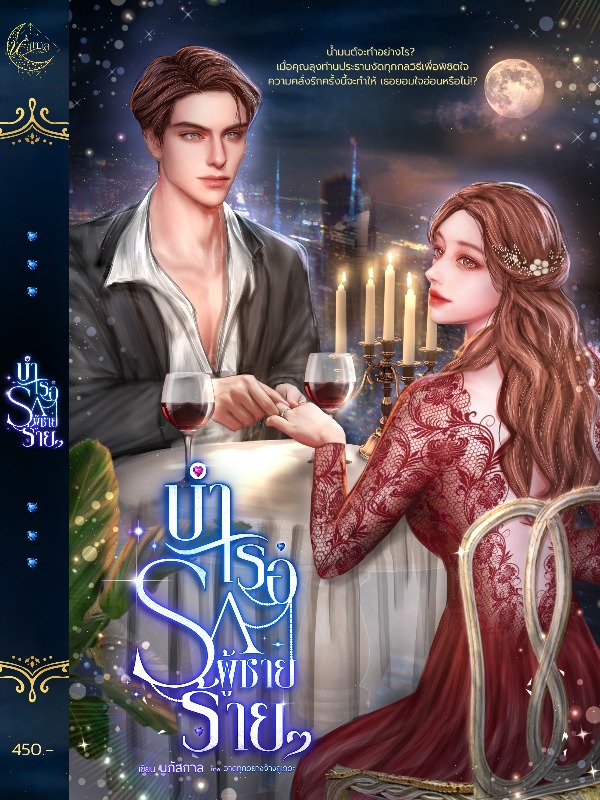 Novel Cover