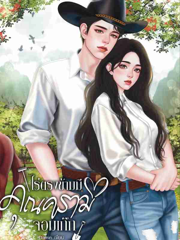 Novel Cover